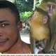 Image for article titled So this new species of monkey looks exactly like Alan Tudyk